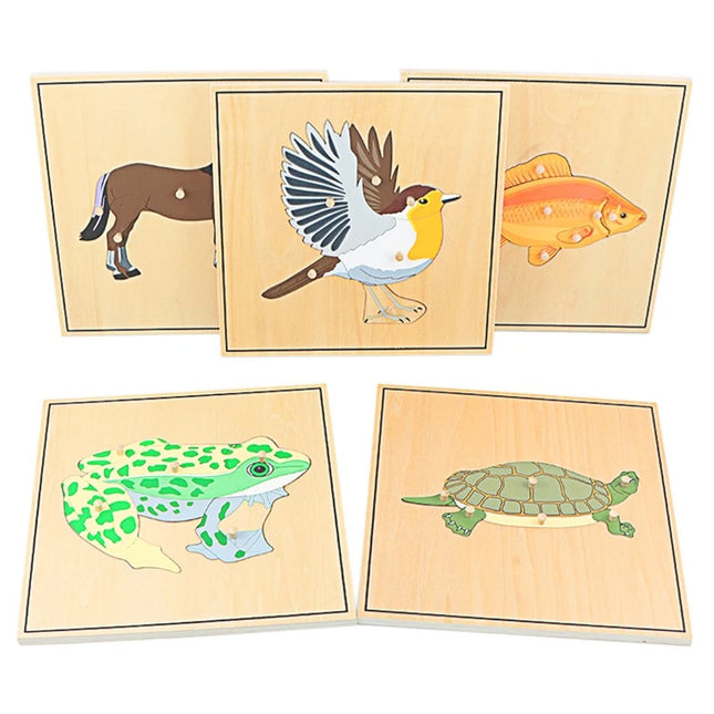 Children Educational Toys Montessori Materials Biology Wooden Skeleton Puzzle Frog Horse Tortiose Fish Bird Animal Toys for Boy
