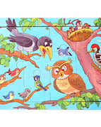 18-birds