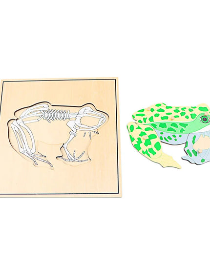 Children Educational Toys Montessori Materials Biology Wooden Skeleton Puzzle Frog Horse Tortiose Fish Bird Animal Toys for Boy