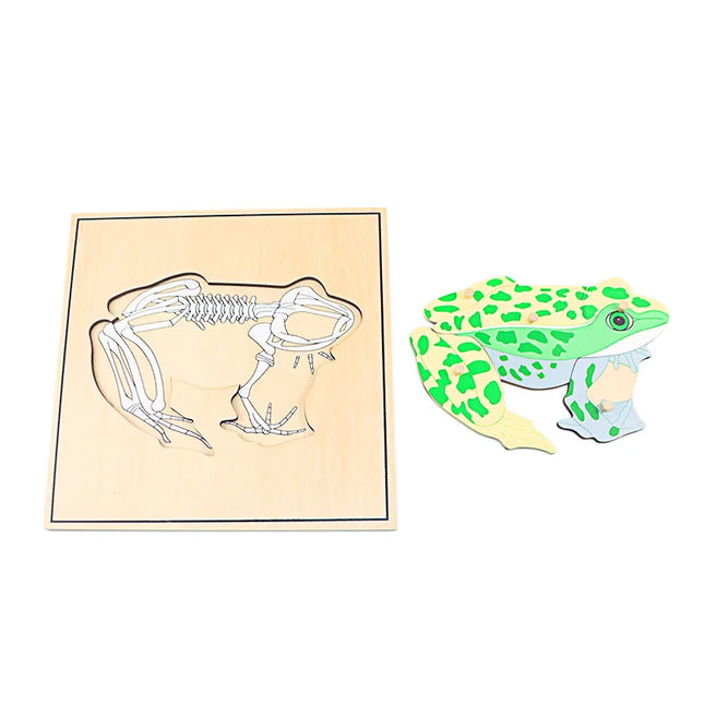 Children Educational Toys Montessori Materials Biology Wooden Skeleton Puzzle Frog Horse Tortiose Fish Bird Animal Toys for Boy