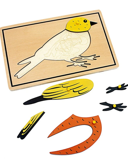 Children Educational Toys Montessori Materials Biology Wooden Skeleton Puzzle Frog Horse Tortiose Fish Bird Animal Toys for Boy