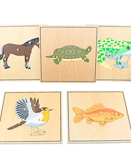 Children Educational Toys Montessori Materials Biology Wooden Skeleton Puzzle Frog Horse Tortiose Fish Bird Animal Toys for Boy