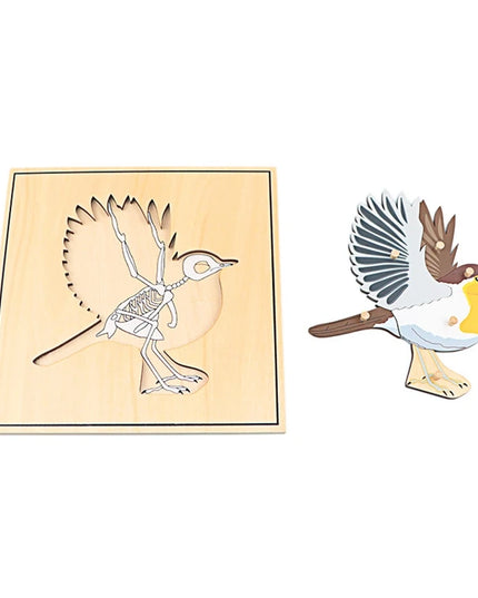 Children Educational Toys Montessori Materials Biology Wooden Skeleton Puzzle Frog Horse Tortiose Fish Bird Animal Toys for Boy