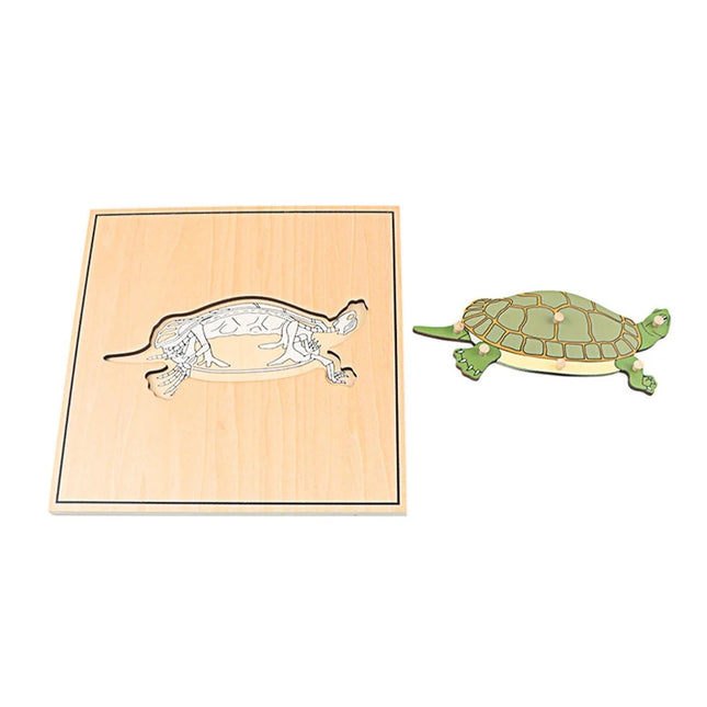 Children Educational Toys Montessori Materials Biology Wooden Skeleton Puzzle Frog Horse Tortiose Fish Bird Animal Toys for Boy