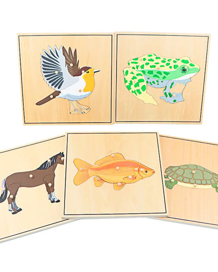 Children Educational Toys Montessori Materials Biology Wooden Skeleton Puzzle Frog Horse Tortiose Fish Bird Animal Toys for Boy