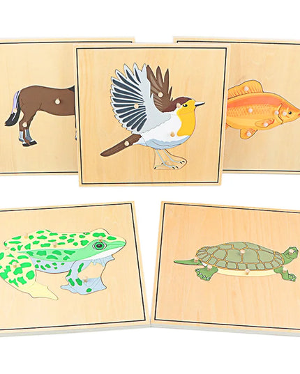 Children Educational Toys Montessori Materials Biology Wooden Skeleton Puzzle Frog Horse Tortiose Fish Bird Animal Toys for Boy