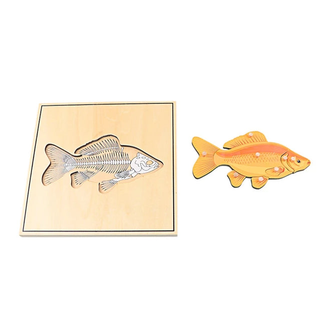 Children Educational Toys Montessori Materials Biology Wooden Skeleton Puzzle Frog Horse Tortiose Fish Bird Animal Toys for Boy