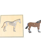 horse