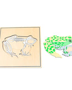 frog