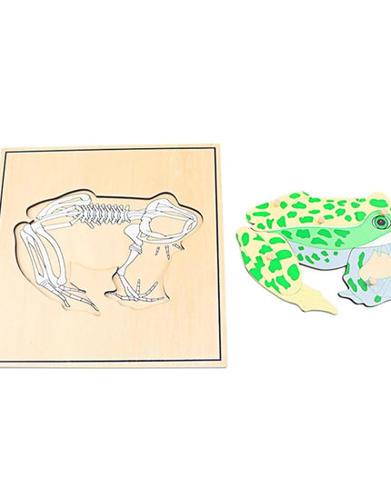 Children Educational Toys Montessori Materials Biology Wooden Skeleton Puzzle Frog Horse Tortiose Fish Bird Animal Toys for Boy