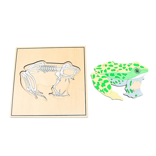 Children Educational Toys Montessori Materials Biology Wooden Skeleton Puzzle Frog Horse Tortiose Fish Bird Animal Toys for Boy