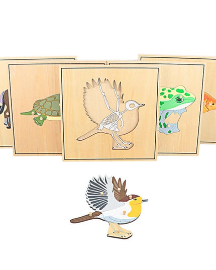 Children Educational Toys Montessori Materials Biology Wooden Skeleton Puzzle Frog Horse Tortiose Fish Bird Animal Toys for Boy