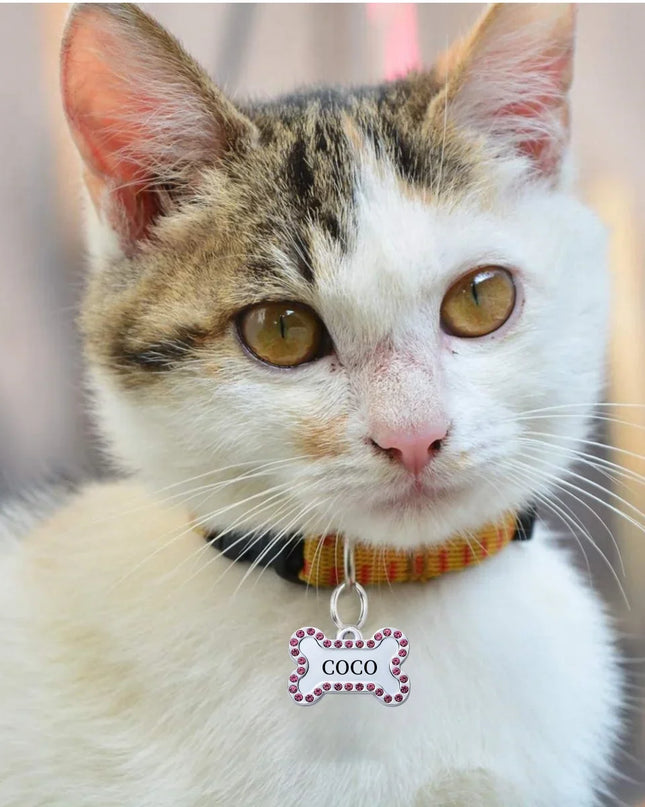 VIP Customizable Engraved Pets ID Tag for Dog Cat Bronze Nameplate Tags Personalized  Address Number Dogs Collar ID Pendant