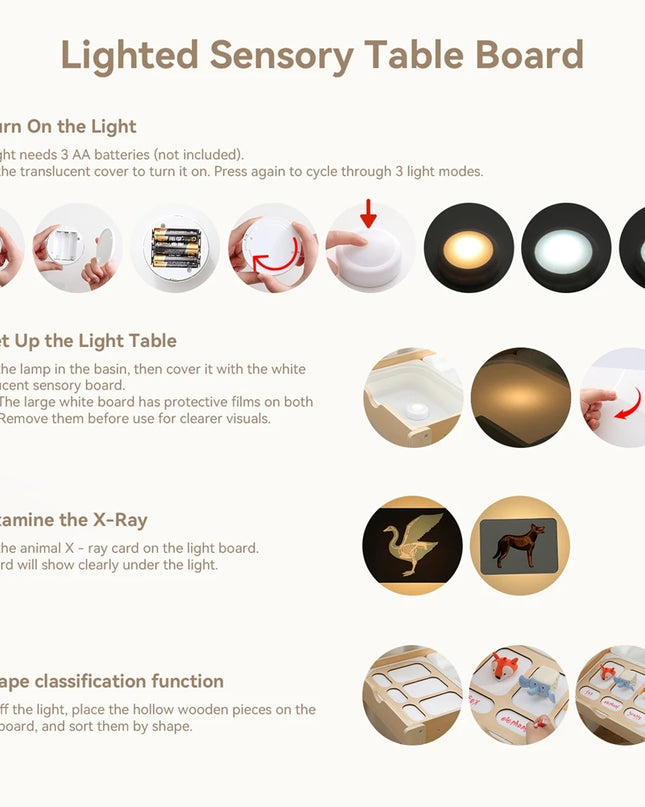 Children's Montessori Toys Life Skills Learning Game Sand Table Accessories Early Education And Intelligence Toys Child's Gift