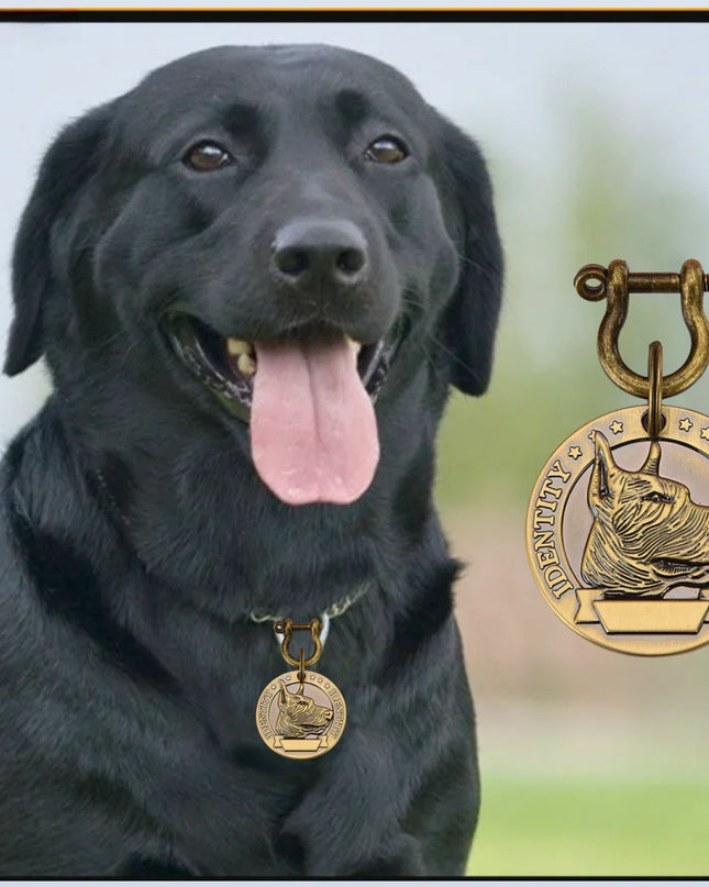 VIP Customizable Engraved Pets ID Tag for Dog Cat Bronze Nameplate Tags Personalized  Address Number Dogs Collar ID Pendant