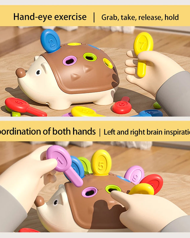 Montessori Hedgehog Toys Baby Concentration Training Education Toys Fine Motor Sensory Educational Toy for Kids Birthday Gifts