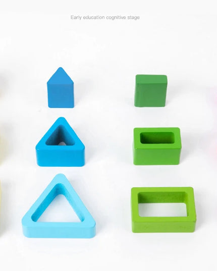 Montessori  Wooden Color Shape Cognitive Classification Matching Puzzle Children's Magnetic Fishing Learning Educational Toys