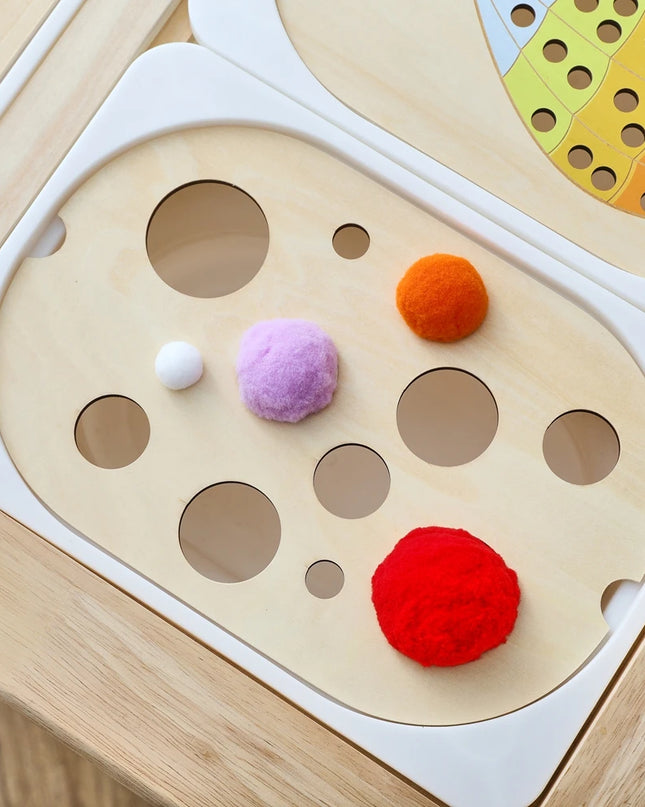 Montessori Sensory Tray Board Game,Early Educational Toys for Children Fine Motor skill Training Toys Sort Sensory Baby Toy Gift