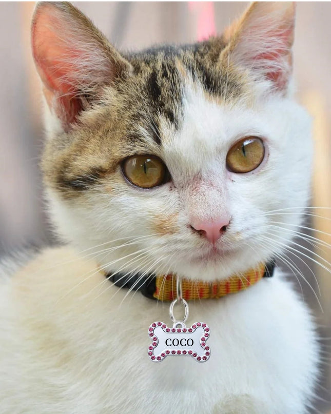 VIP Customizable Engraved Pets ID Tag for Dog Cat Bronze Nameplate Tags Personalized  Address Number Dogs Collar ID Pendant