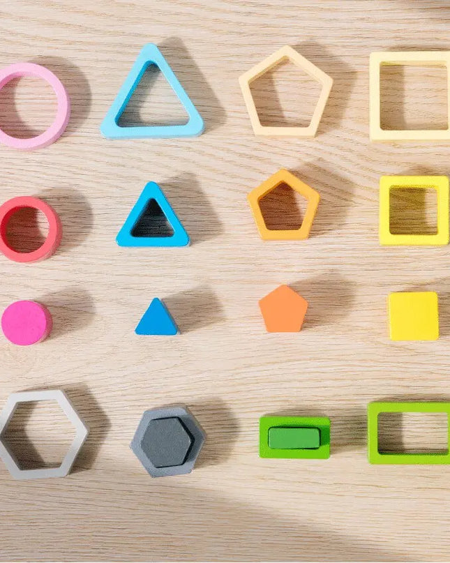 Montessori  Wooden Color Shape Cognitive Classification Matching Puzzle Children's Magnetic Fishing Learning Educational Toys