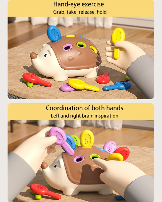 Montessori Hedgehog Toys Baby Concentration Training Education Toys Fine Motor Sensory Educational Toy for Kids Birthday Gifts