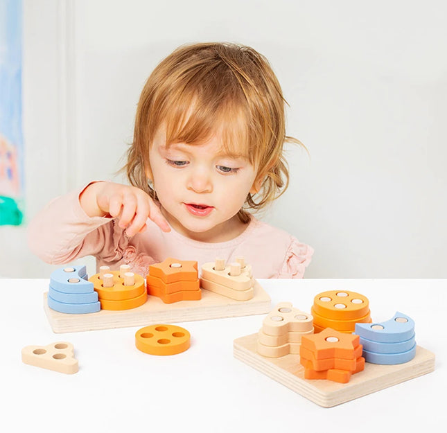 Montessori Wooden Educational Toys for Children 1 2Y Baby Shape Color Sorter Block Puzzles Toddler Large Geometric Stacking Toys